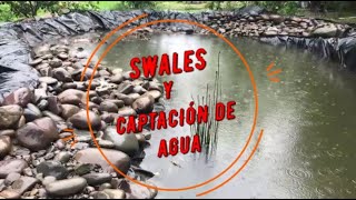 Swales o zanjas de infiltración y captación de agua [upl. by Ytiak]