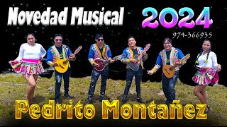 PEDRITO MONTAÑEZ SAIRE NOVEDAD MUSICAL  2024  Cel 974366935  4K [upl. by Harlow]