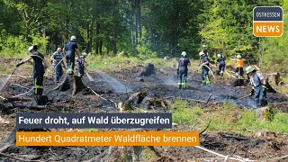 GERSFELD RHÖN Feuer droht auf Wald überzugreifen  Hundert Quadratmeter Waldfläche brennen [upl. by Droc458]