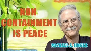 Michael Singer  Non Containment is Peace [upl. by Abbotsun548]