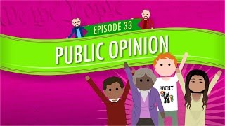 Public Opinion Crash Course Government and Politics 33 [upl. by Calypso]