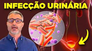 Infecção urinária causas diagnóstico e tratamento [upl. by Gusti]