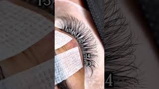 Master the Art of Eyelash Extensions  StepbyStep Tutorial [upl. by Shelburne]