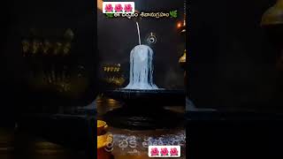 samasth lokalki thandrri shivaya please subscribe friends youtubers 🙏 [upl. by Averill448]