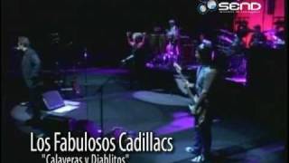 Los Fabulosos Cadillacs  Calaveras y Diablitos En vivo concepción Chile [upl. by Hacim58]