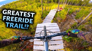 Riding and mastering a SUPER FUN Freeride Trail  Casino Royale [upl. by Busiek]