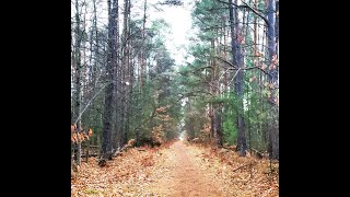 Trillium Trail in Borden November 2024 [upl. by Hadwin933]