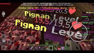 Pigman farm in Minecraft cubecraft Skyblock [upl. by Doley]