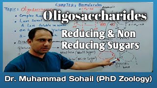 OligosaccharidesCarbohydratesReducing and non Reducing Sugars [upl. by Bubb93]