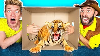 What’s in the BOX Challenge LIVE ANIMALS Gross Giant Slime Orbeez amp Real Food vs Gummy Food [upl. by Whall]