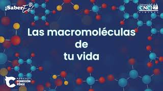 SaberEs  Las macromoléculas de tu vida [upl. by Enyrb]