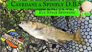 Cavedani a Spinfly DBS Fly Style Spinning [upl. by Ariahs]