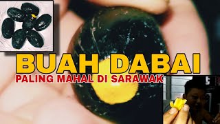 BUAH DABAI  BUAH LANGKA YANG PALING MAHAL DI SARAWAK [upl. by Nwahshar667]