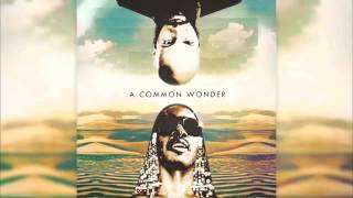 Common amp Stevie Wonder  A Common Wonder  Amerigo Gazaway Full Album [upl. by Henryk]