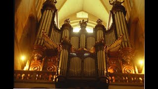 The ACavaillé Coll organ at Basilica St Sernin  Toulouse  France [upl. by Nerta]