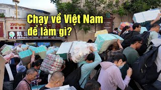 Tiểu thương Trung Quốc chen lấn đổ xô sang Việt Nam từ sớm để làm gì [upl. by Ailaht]