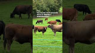 CattleFarming FarmTips AgricultureCattleCare FarmingLife FarmSmart BeefFarmers OnlineCourse [upl. by Nosrak]