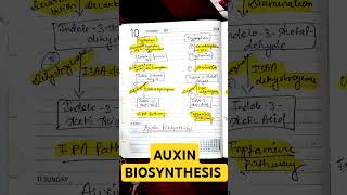 AUXIN BIOSYNTHESIS• IPA PATHWAY• TRYPTAMINE PATHWAY• CSIR NET LIFE SCIENCES auxincsirnetlifescien [upl. by Nilerual]