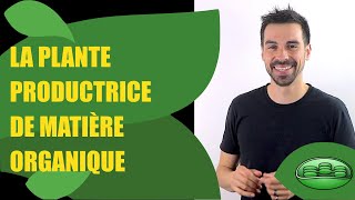 COURS DE TERMINALE SPÉCIALITÉ SVT CHAP9 LA PLANTE PRODUCTRICE DE MATIÈRE ORGANIQUE  Bio Logique [upl. by Volney]