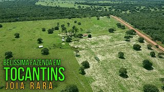 FAZENDA A VENDA NO VALE DO ARAGUAIA EM ABREULÂNDIA TOCANTINS [upl. by Auoz]