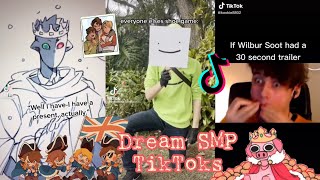 Dream SMP Tik Tok Compilation [upl. by Kaja]