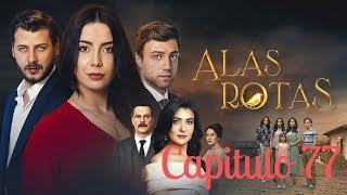 Alas Rotas  Capitulo 77  Audio español [upl. by Dani]