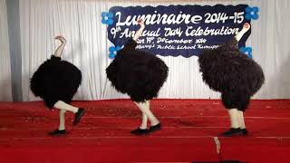 23 Ostrich Dance  LUMINAIRE 20142015 [upl. by Klingel]