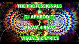 The Professionals amp DJ Aphrodite  Flava 4 Rava [upl. by Jourdan973]