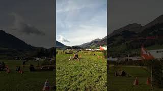 Holzrücken mit Pferden in Frutigen 🇨🇭😎💪 [upl. by Ailhat]