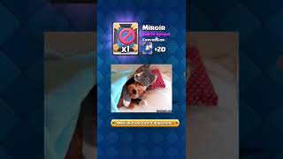 Pack opening coffre géant  🤑 clashroyale [upl. by Milone292]