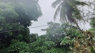 VIENTOS Y LLUVIA AHORA MISMO EN PUERTO RICO [upl. by Hgieleak300]