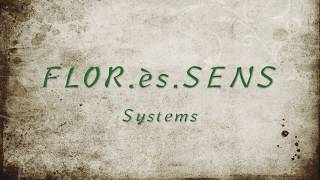 SOIL HEALTH  The relationship between soil microbiology plant succession and soil fertility [upl. by Ymmit]