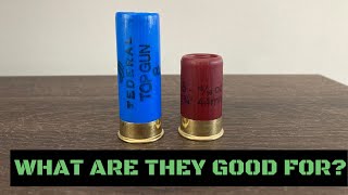 THE GOOD AND BAD ABOUT MINISHELLS [upl. by Lindsay]