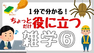 【面白い雑学】１分で分かる！ちょっとだけ役に立つ雑学⑥ 雑学 日常 豆知識 トリビア 1分雑学 [upl. by Ketchan]