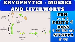 Classification of Bryophytes Mosses and Liverworts Prepare for NEET in 5 mins BSc MSc Botany [upl. by Glenda566]