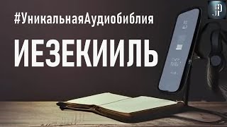 Книга пророка Иезекииля Читаем Библию вместе УНИКАЛЬНАЯ АУДИОБИБЛИЯ [upl. by Acquah]