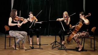 Lunare Quartet  Gabriels Oboe Mission [upl. by Osbourne194]