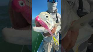 Jack Crevalle inshorefishing jurel pescayucatan ninijigs [upl. by Enaujed]