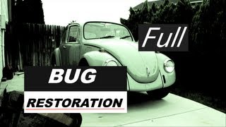 Bug Restoration Official Full Version [upl. by Shaefer669]