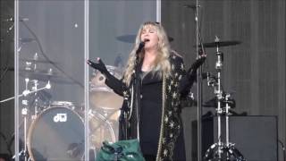 Stevie Nicks Landslide [upl. by Larkin177]