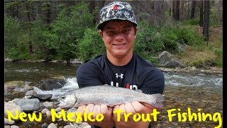 New Mexico Trout Fishing [upl. by Prince]