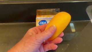 Honest Review of Dial Antibacterial Clean Soap [upl. by Chrysler322]