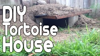 Tortoise Enclosure  DIY Tortoise House [upl. by Thorlie882]