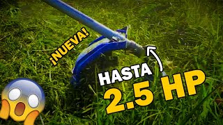 Probando la nueva desmalezadora HYH52XT de Hyundai 😲 [upl. by Hild]