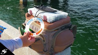 Whats in My Saltwater Fishing Tackle Box 2019 [upl. by Aneerol]