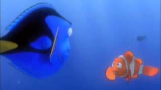 Os Personagens do Filme Procurando Nemo em Aquários [upl. by Klinges897]