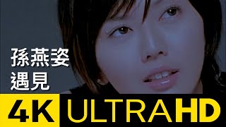 孫燕姿 Sun YanZi  遇見 Encounter 4K MV Official 4K UltraHD Video [upl. by Ynohtnanhoj293]