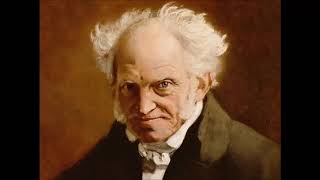 The Germans Schopenhauer [upl. by Ilenay]