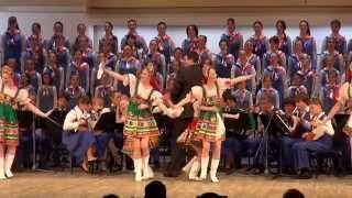 quotКалинкаquot Ансамбль Локтева quotKalinkaquot Loktev Ensemble 20140503 [upl. by Accalia]