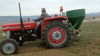 Massey Ferguson 148 ile buğday tarlası fırfır gübre makinası ile gübre arıyoruz tarlaya [upl. by Aihtnis318]